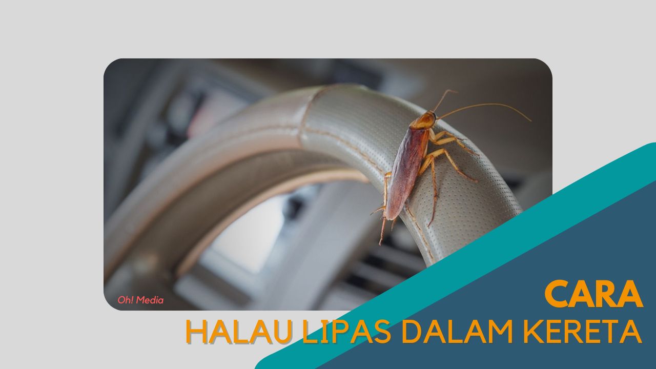 imej Cover Cara Halau Lipas Dalam Kereta Cover Cara Halau Lipas Dalam Kereta